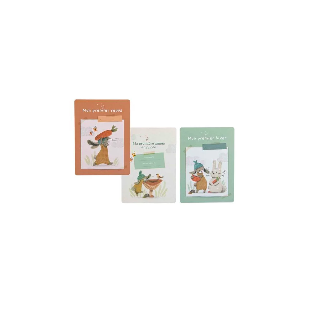 Cartes Mes 12 premiers mois - Trois petits lapins - Moulin Roty