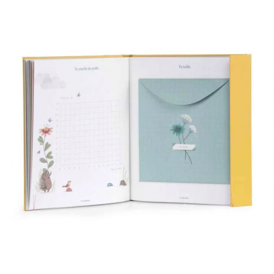 Livre de naissance - Trois petits lapins - Moulin Roty