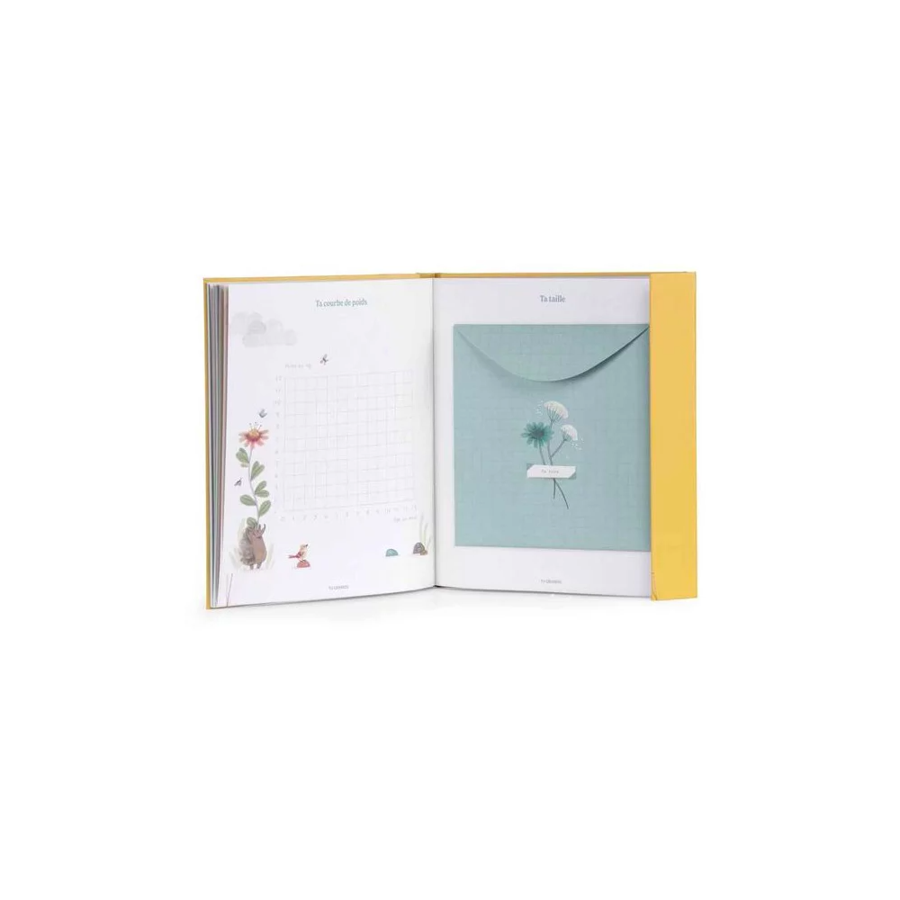 Livre de naissance - Trois petits lapins - Moulin Roty