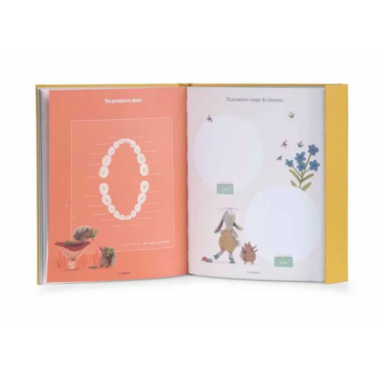 Livre de naissance - Trois petits lapins - Moulin Roty