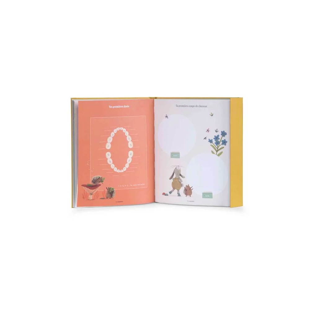 Livre de naissance - Trois petits lapins - Moulin Roty