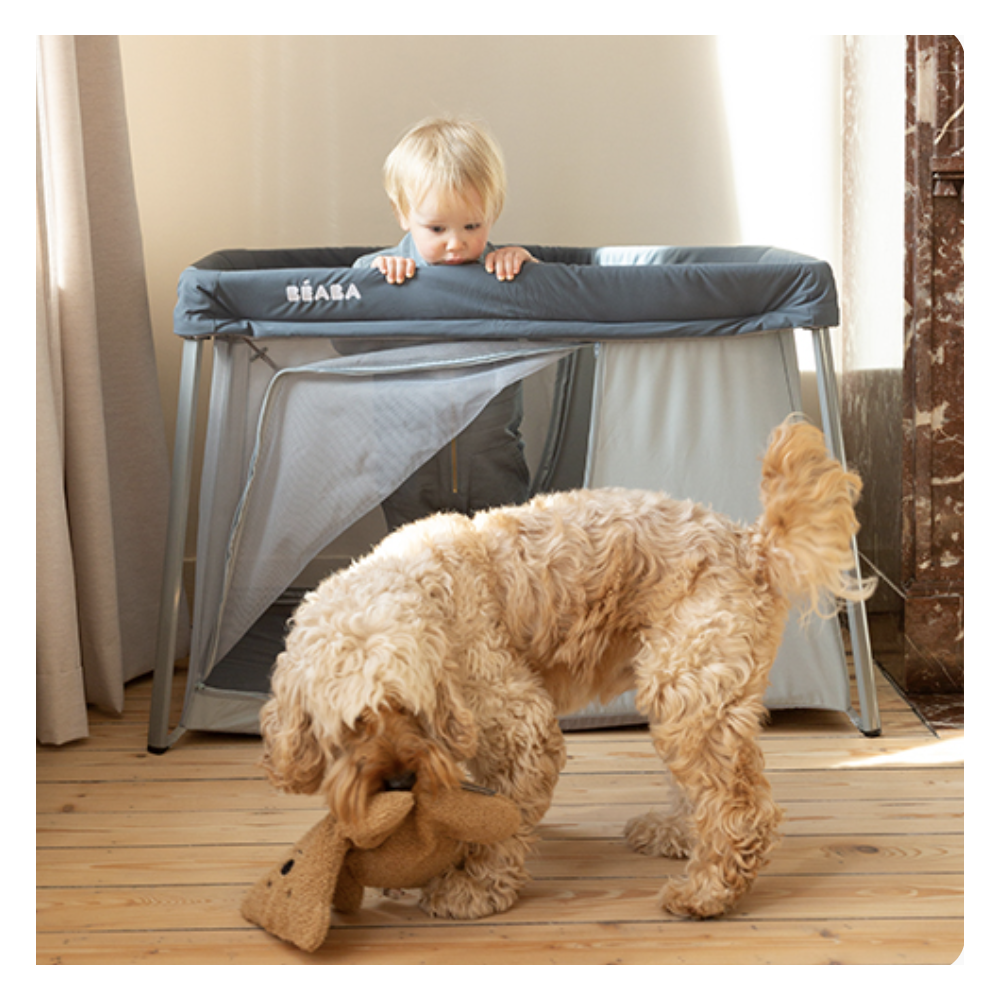 Lit parapluie 3 en 1 eazy - Mineral Grey - Beaba