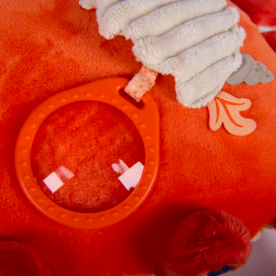 Grand crabe d'activités - Les aventures de Paulie - Moulin Roty