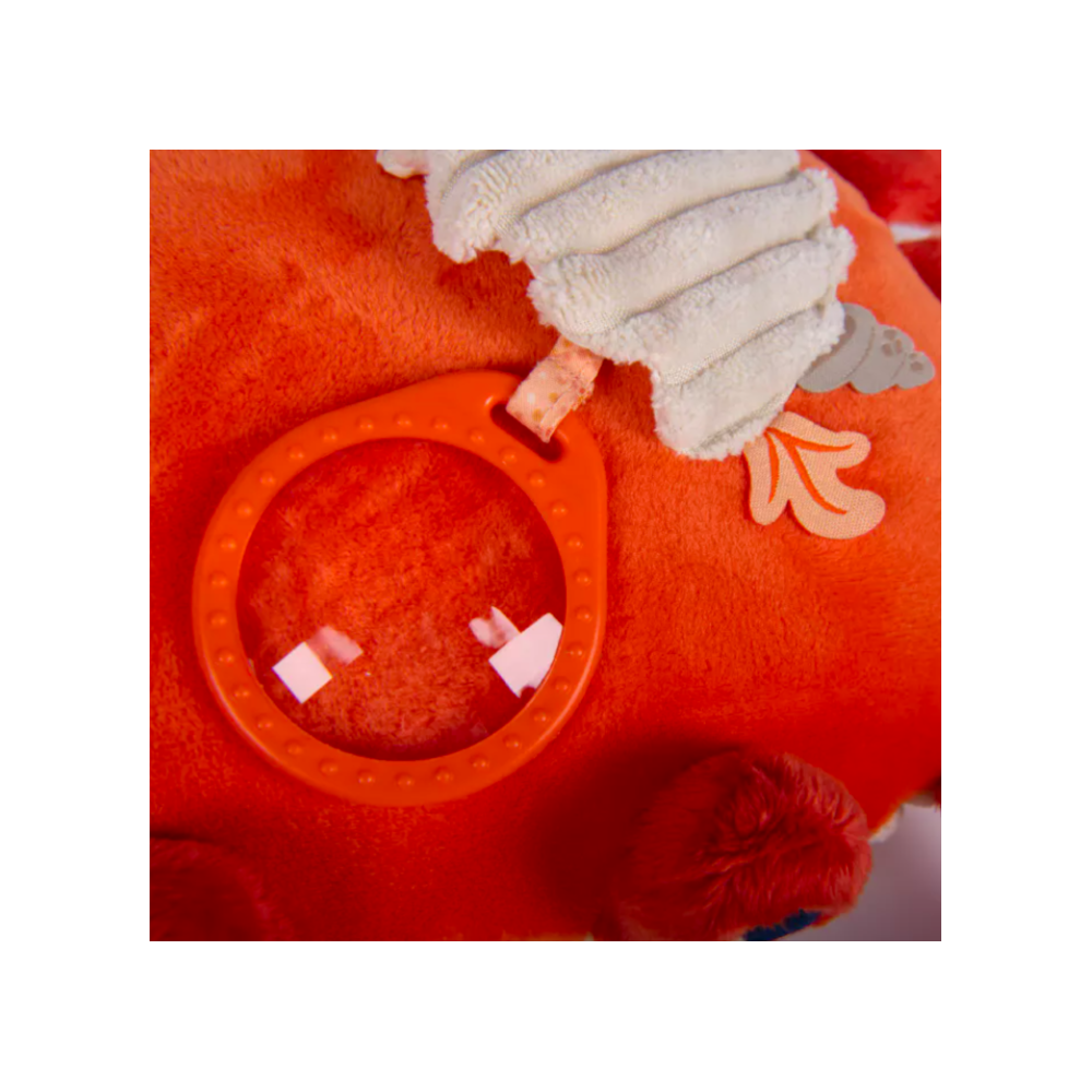 Grand crabe d'activités - Les aventures de Paulie - Moulin Roty
