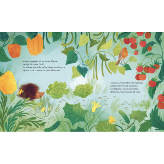 Livre jeunesse - L'été - Sassi