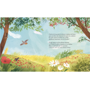 Livre jeunesse - L'été - Sassi