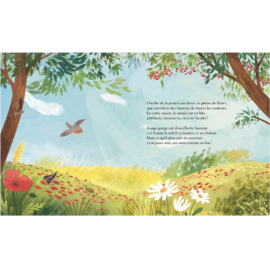 Livre jeunesse - L'été - Sassi