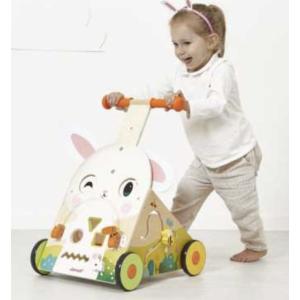 Chariot de marche - Lapin multi-activités - Janod