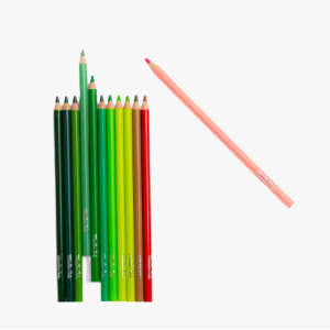 Coffret de 12 Crayons de couleur + cartes -  Le Botaniste Le Jardin du Moulin