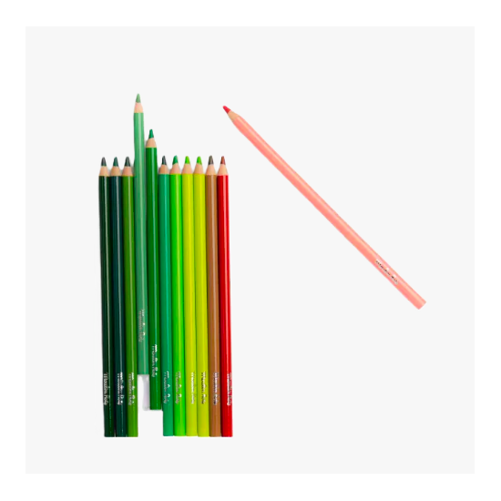 Coffret de 12 Crayons de couleur + cartes -  Le Botaniste Le Jardin du Moulin