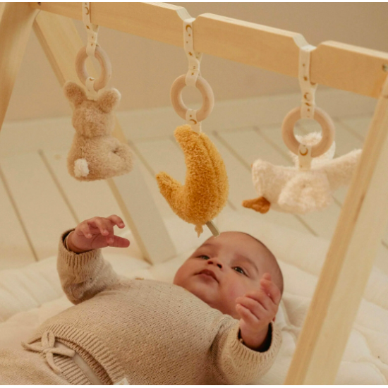 Arche d'éveil en bois - Newborn - Little Dutch