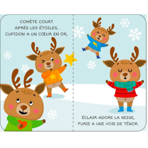 Ma bibliothèque de Noël - Sassi
