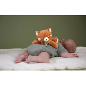 Peluche lestée - Panda roux - Kaloo