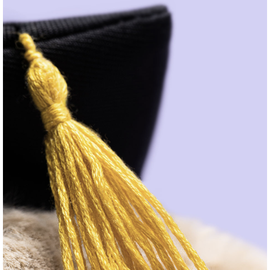 Peluche Lapin bashful beige Graduation outfit - Jellycat