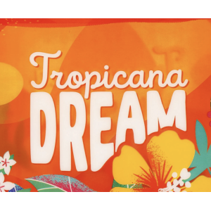 Pochette de plage - Tropicana Dream - Legami