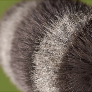 Trixiwoo Raccoon Jellycat | Peluche raton laveur douce et originale