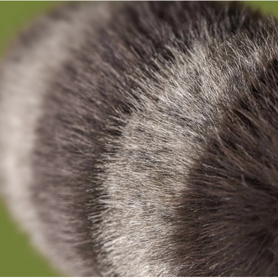 Trixiwoo Raccoon Jellycat | Peluche raton laveur douce et originale