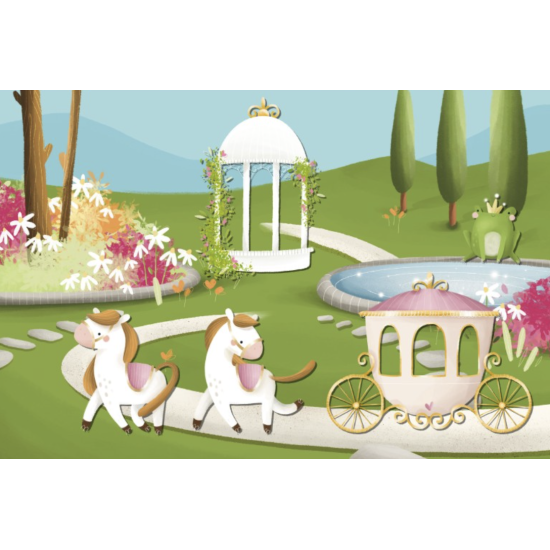 Magnetic box set and book - Les princesses - Sassi