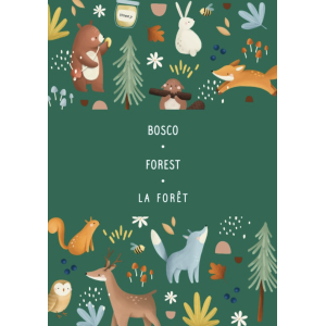 Magnetic box set and book - La forêt - Sassi