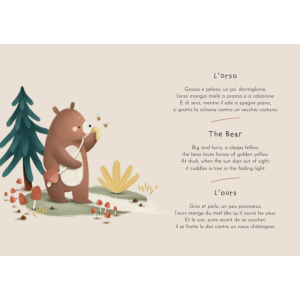 Magnetic box set and book - La forêt - Sassi