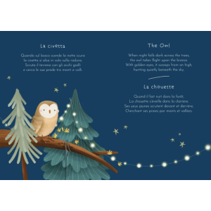 Magnetic box set and book - La forêt - Sassi