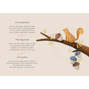 Magnetic box set and book - La forêt - Sassi
