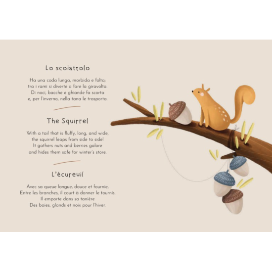 Magnetic box set and book - La forêt - Sassi