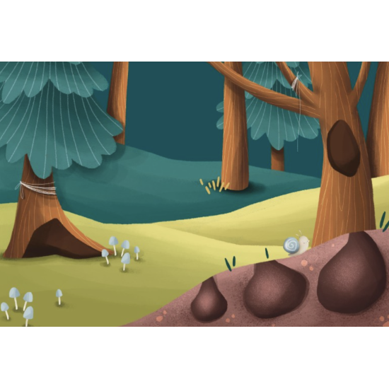 Magnetic box set and book - La forêt - Sassi