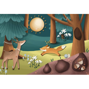 Magnetic box set and book - La forêt - Sassi
