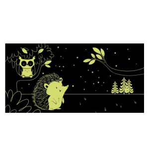 Livre jour et nuit - La forêt - Sassi