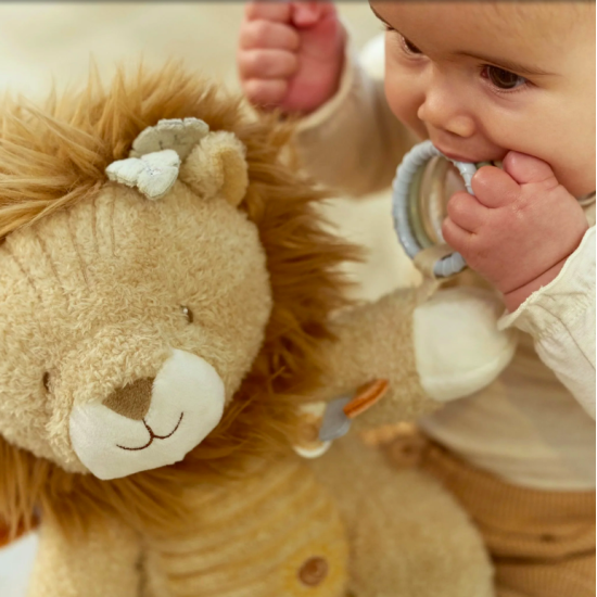 Peluche d'activités Lion - Safari friends - Little Dutch
