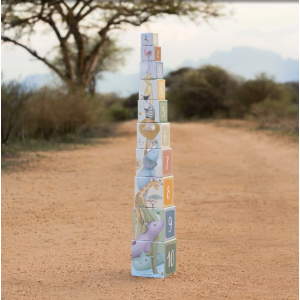 10 cubes à empiler animaux - Safari Friends - Little Dutch