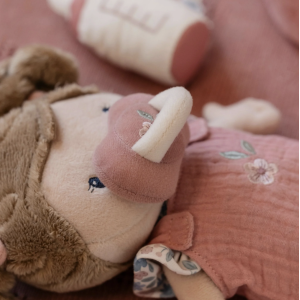 Poupée bébé Rosa dans son couffin - Little Dutch