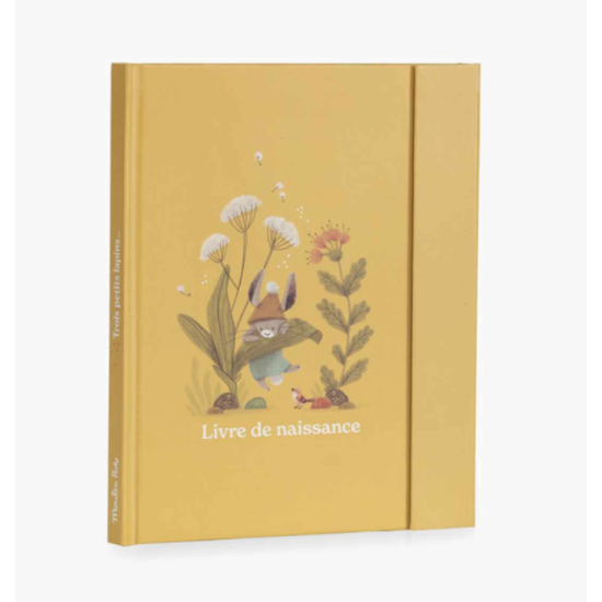 Livre de naissance - Trois petits lapins - Moulin Roty