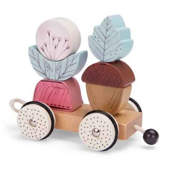 Train d'activités à tirer - Après la pluie - Moulin Roty