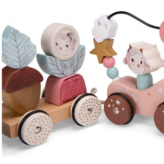 Train d'activités à tirer - Après la pluie - Moulin Roty